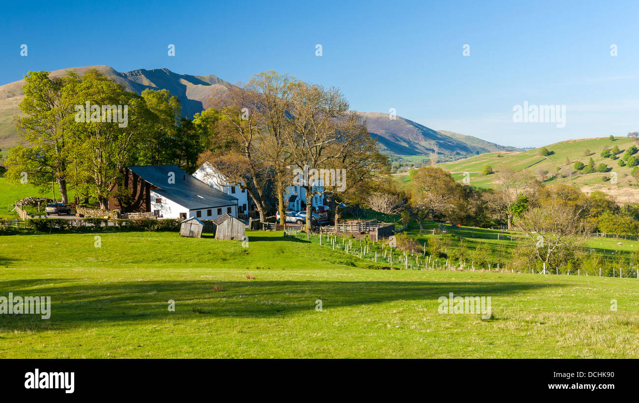 Vue sur Dale Bas en bas dans le Rigg Parc National de Lake District, Cumbria, Angleterre, Royaume-Uni, Europe. Banque D'Images