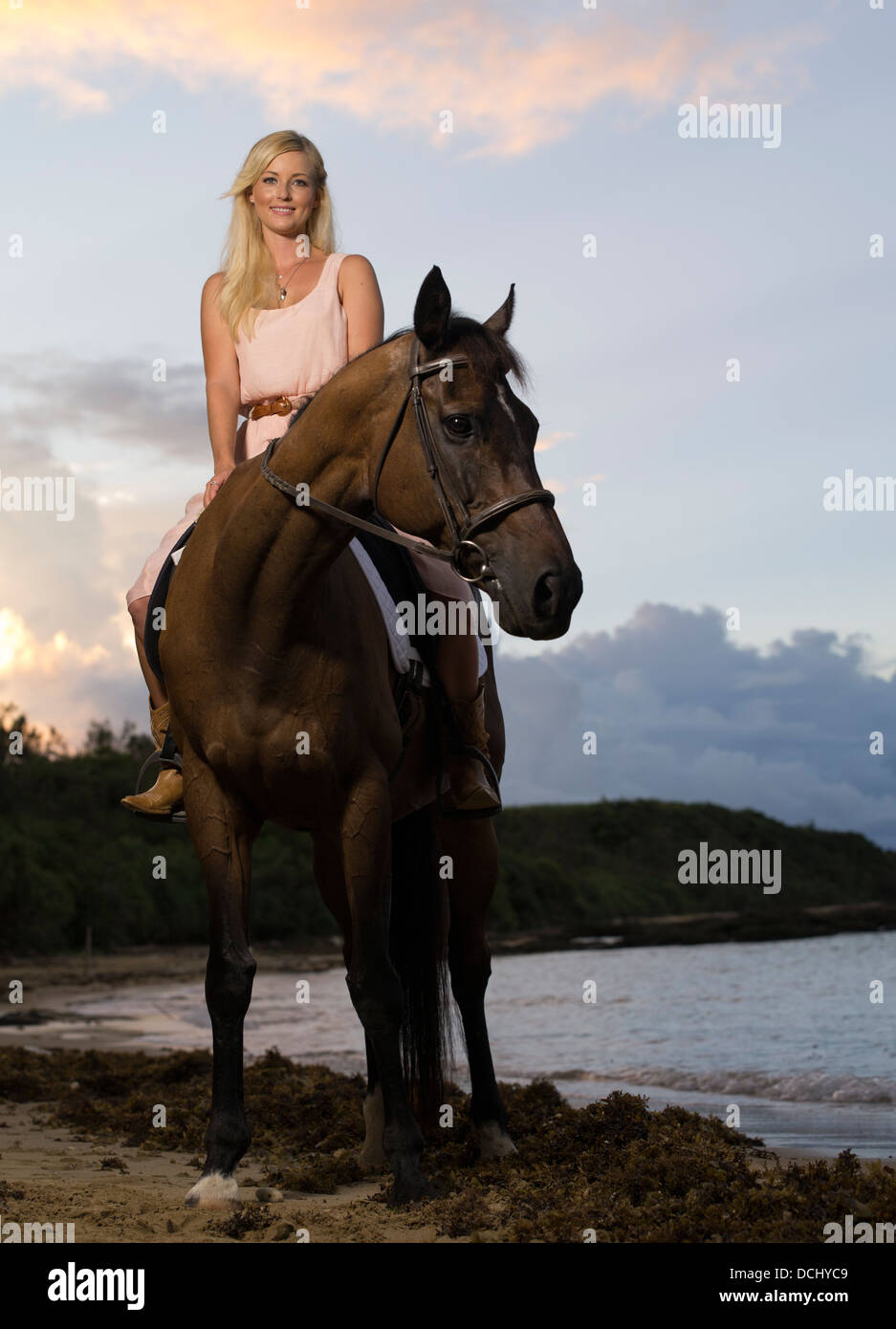 Belle blonde woman avec pur-sang hongre brun foncé / cheval sur la plage Banque D'Images