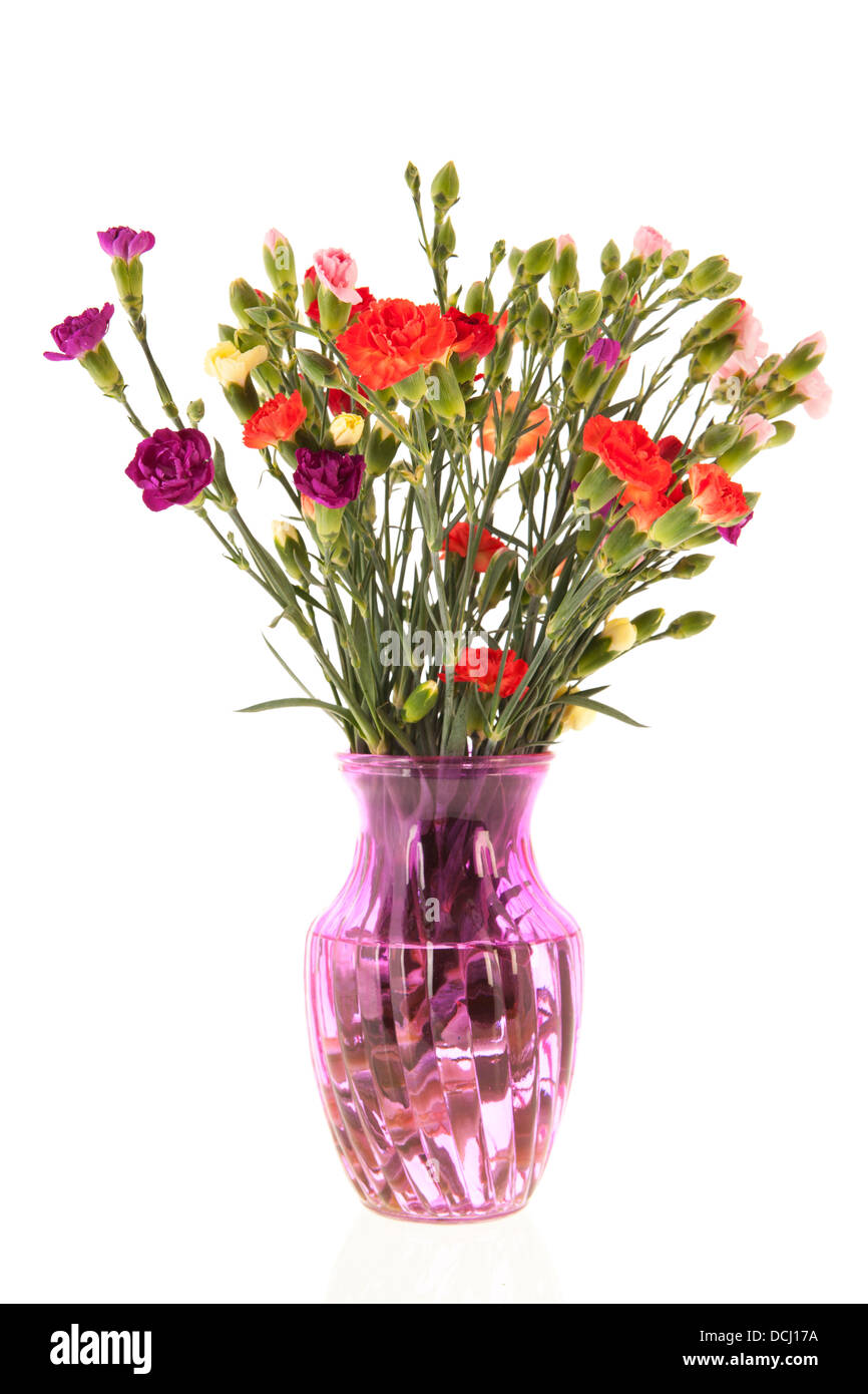Bouquet coloré en verre rose Dianthus vase isolé sur fond blanc Banque D'Images