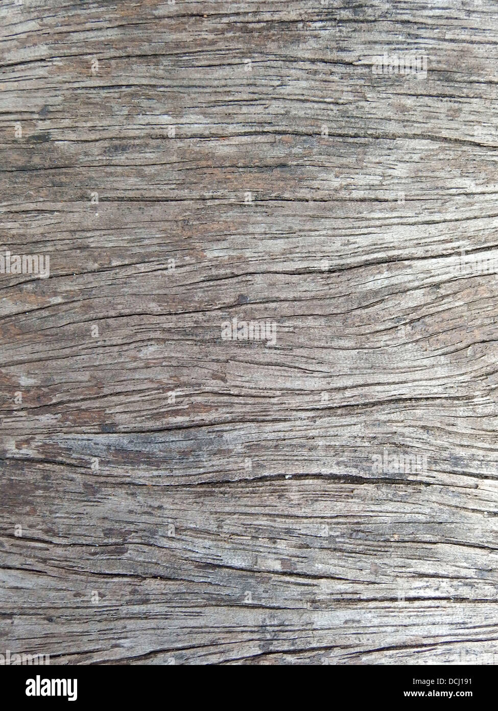 Texture background en bois Banque D'Images