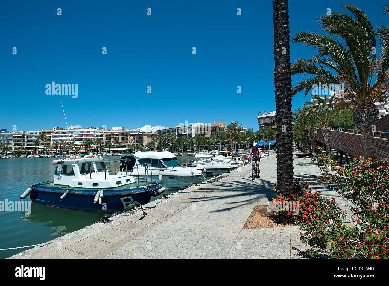 Marina Port Alcudia, Majorque, Baleares, Espagne Banque D'Images