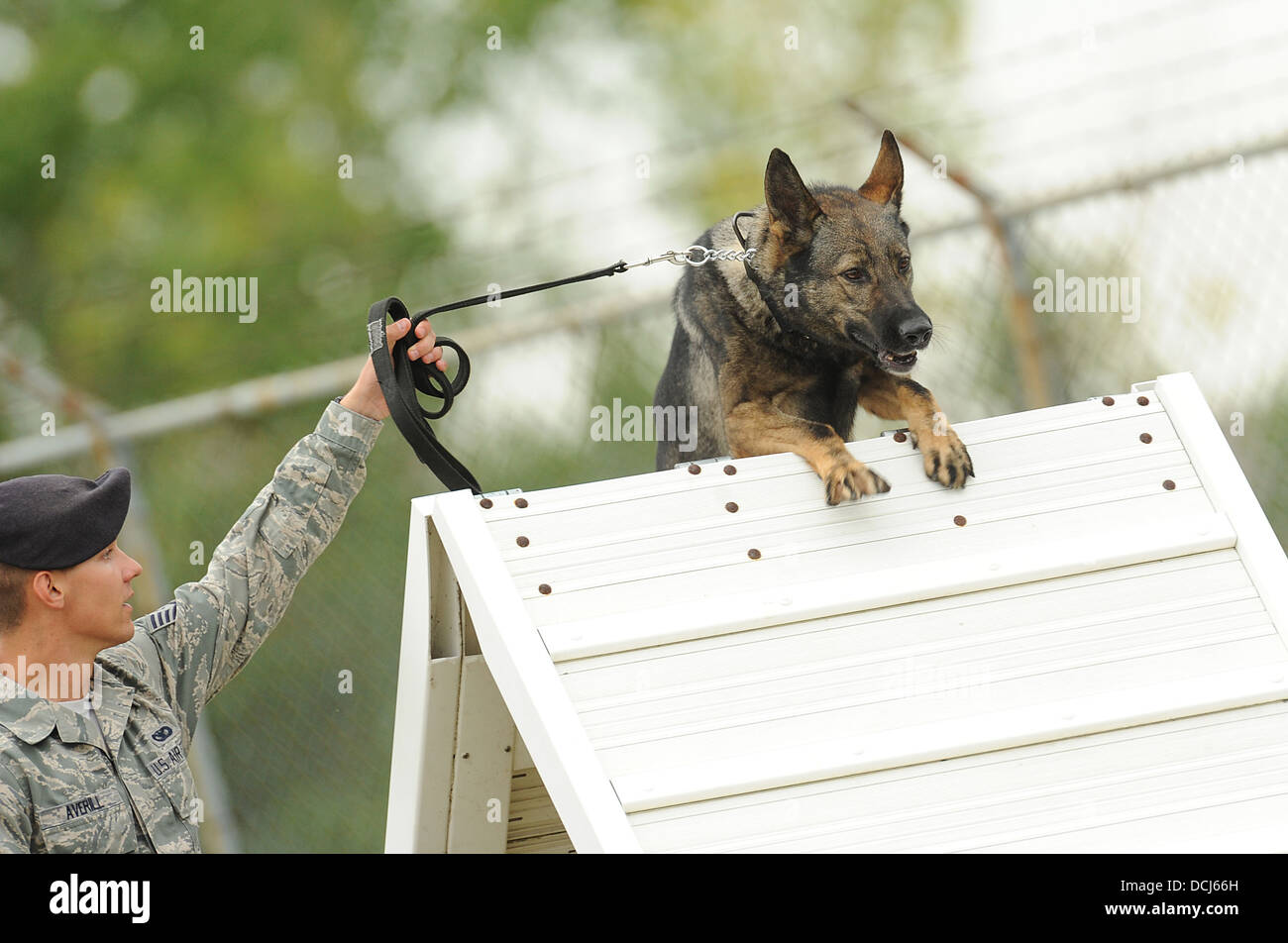 Le s.. Christopher Averill, 5e Escadron des Forces de sécurité de chien de travail militaire, mène son 5-year-old Sheppard allemand Banque D'Images