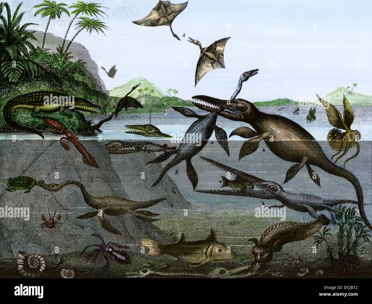 Les dinosaures de la mer, de la terre, et de l'air au cours de l'âge des reptiles, un 19e siècle l'inscription. La gravure à la main, Banque D'Images