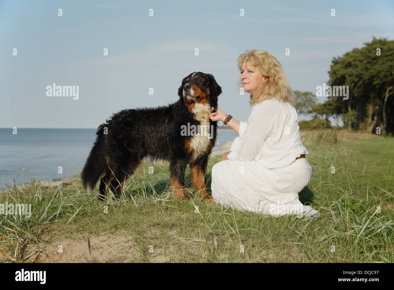 Bernois et la femme a l'air de côté en mer Banque D'Images