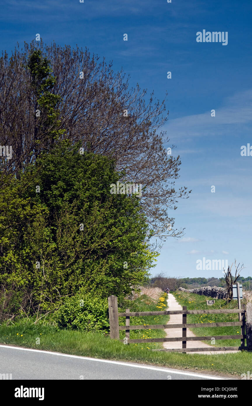 Le printemps sur la piste de Tissington à Derbyshire Banque D'Images