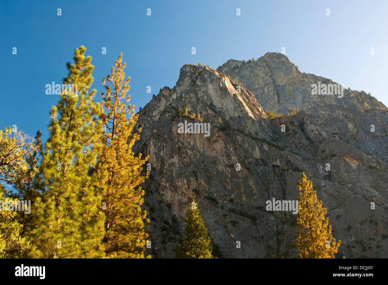 Le Grand Sentinel, le Parc National Kings Canyon, Californie Banque D'Images