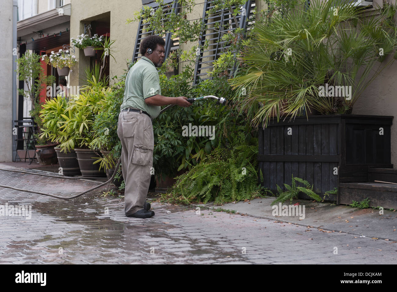 Un homme d'arroser les plantes dans une ruelle de la ville de Mount Dora, Floride USA Banque D'Images