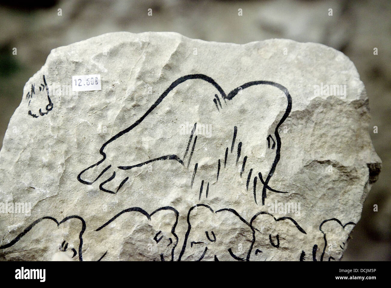 Peinture préhistorique cadeaux réplique dans la boutique de la Grotte de Rouffignac ( Rouffinac Cave ), perigord, dordogne, France Europe Banque D'Images
