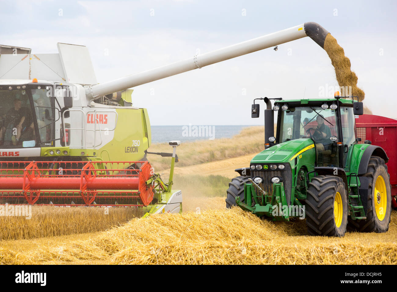 Un agriculteur récolte du blé sur une ferme près d'Barmston, sur la côte est, dans le Yorkshire, UK. Banque D'Images