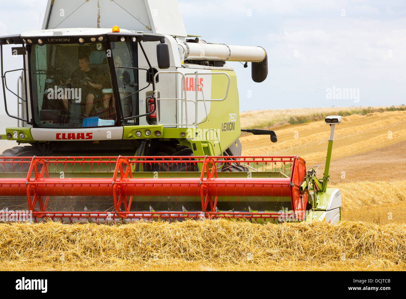 Un agriculteur récolte du blé sur une ferme près d'Barmston, sur la côte est, dans le Yorkshire, UK. Banque D'Images