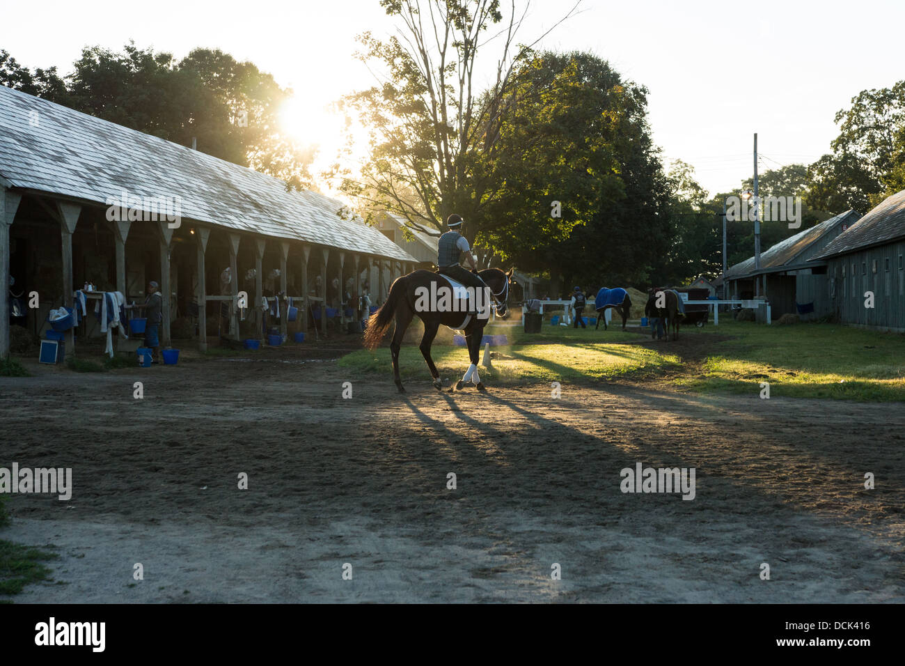 Le 4 août 2013. Saratoga Raceway, New York. Course de chevaux pur-sang après matin Séance d'entraînement à la piste de formation l'Oklahoma. Banque D'Images