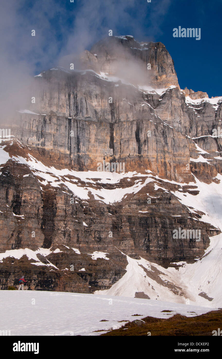 Tour Eiffel de pointe La Vallée Larch, Banff National Park, Alberta, Canada  Photo Stock - Alamy