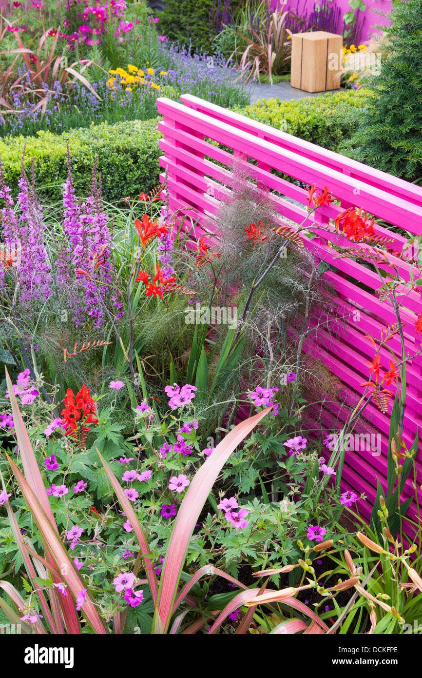 Jardin moderne avec des murs rose original Banque D'Images