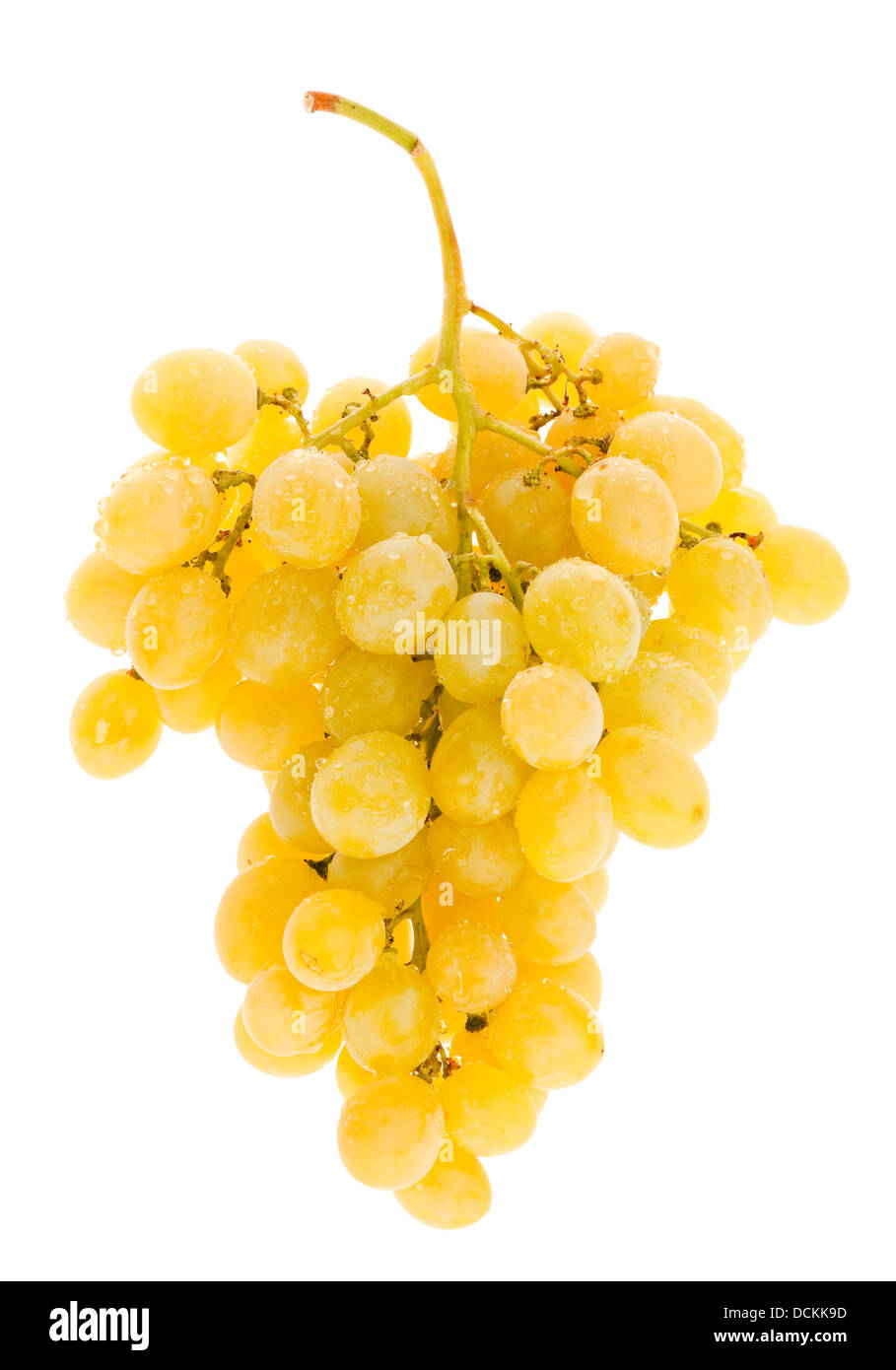 Grappe de raisin jaune Photo Stock - Alamy