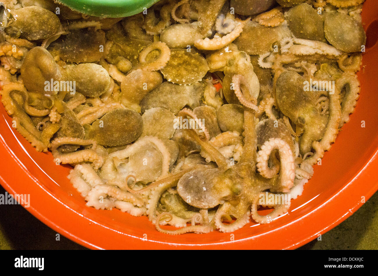 Close up de poulpe frais, dans la pêche aux poissons de Noryangjin Gros à Séoul, Corée. Banque D'Images