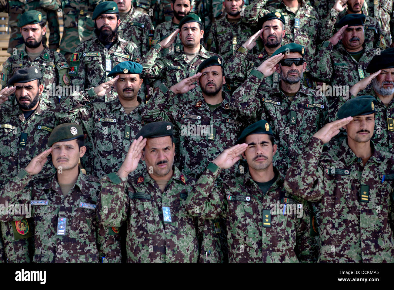 Les officiers de l'Armée nationale afghane militaires durant l'hymne national lors d'une célébration marquant la fête de l'indépendance de l'Afghanistan, le 19 août 2013 au Camp Shorabak, province de Helmand, en Afghanistan. Banque D'Images