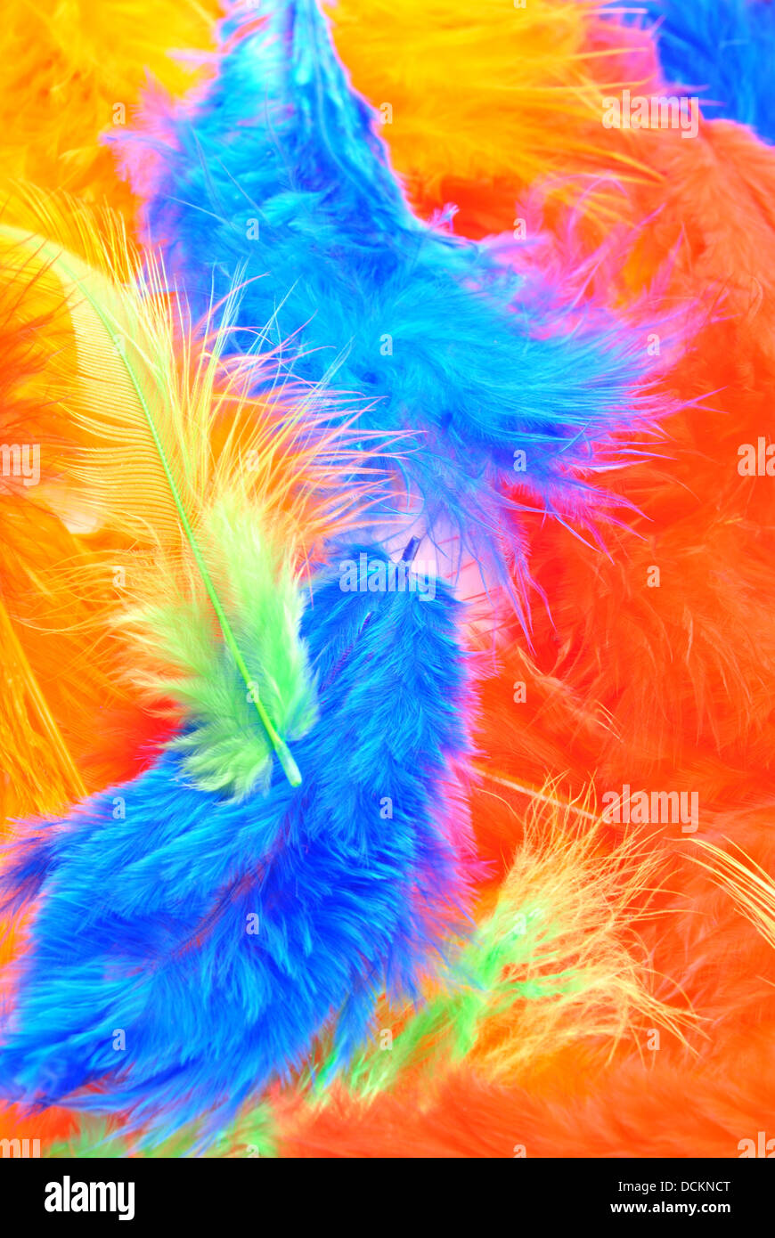 Quelques plumes de couleur idéal pour décoration de Pâques Banque D'Images