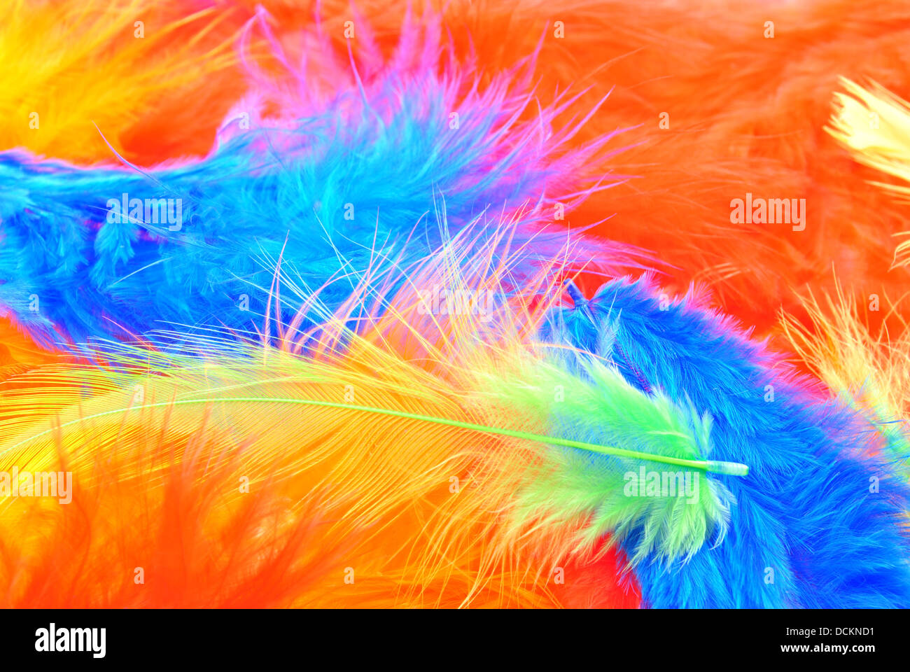 Quelques plumes de couleur idéal pour décoration de Pâques Banque D'Images