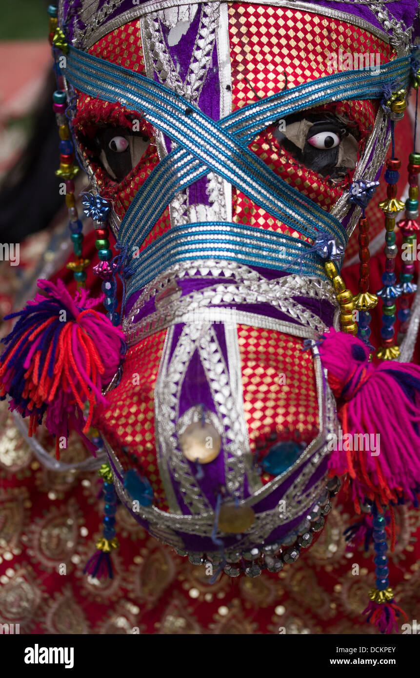 Célébrer Holi, Festival des couleurs, une fête hindoue de printemps - Jaipur, Rajasthan, Inde Banque D'Images