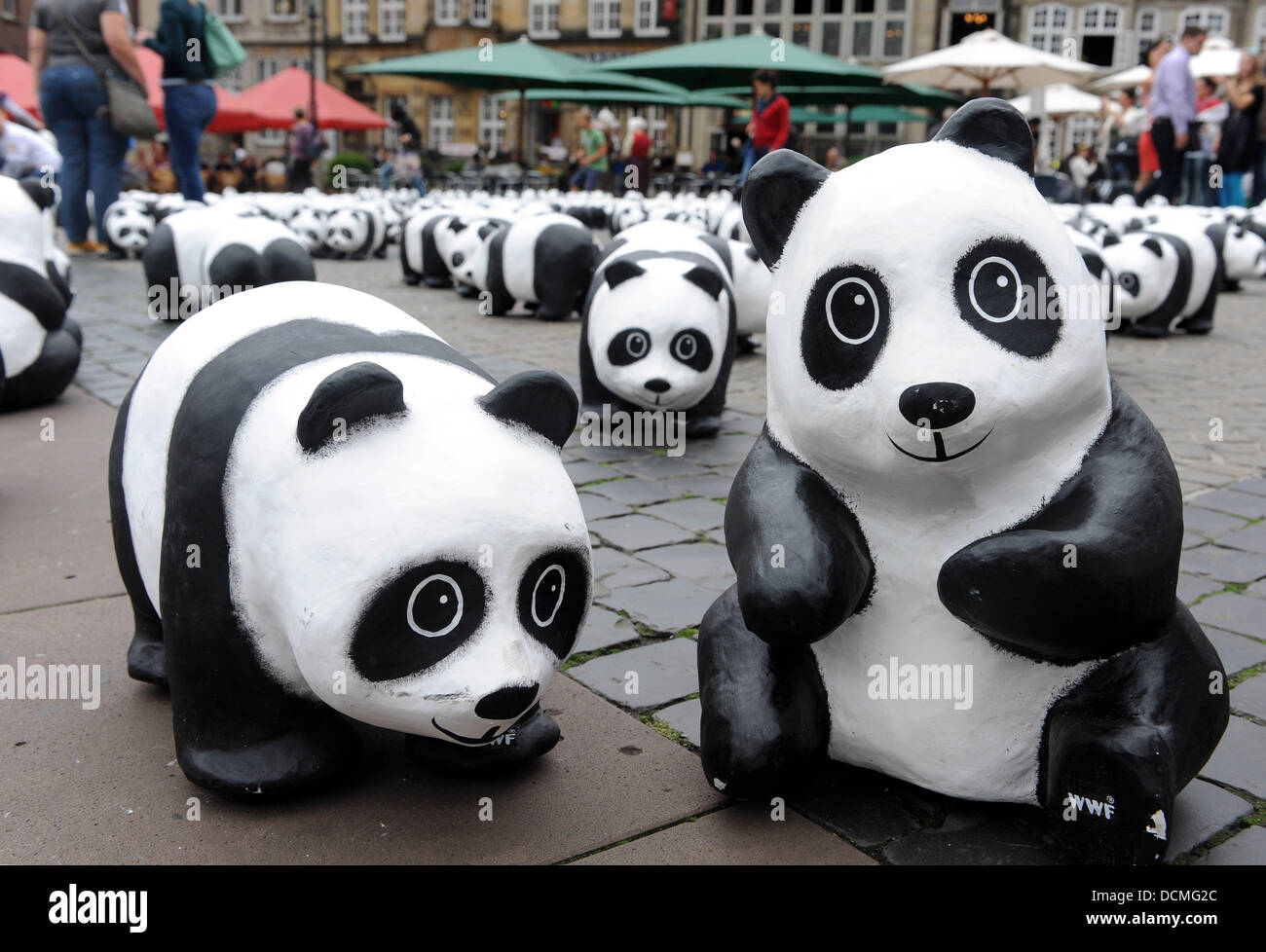 Brême, Allemagne. 20e Août 2013. Organisation de la protection de l'environnement WWF Allemagne présente 1 600 pandas en papier mâché sur la Marktplatz square à Brême, Allemagne, 20 août 2013. L'environnement WWF Organisation célèbre son 50e anniversaire en soulignant qu'il n'y a que 1 600 pandas dans le monde gauche. Photo : INGO WAGNER/dpa/Alamy Live News Banque D'Images