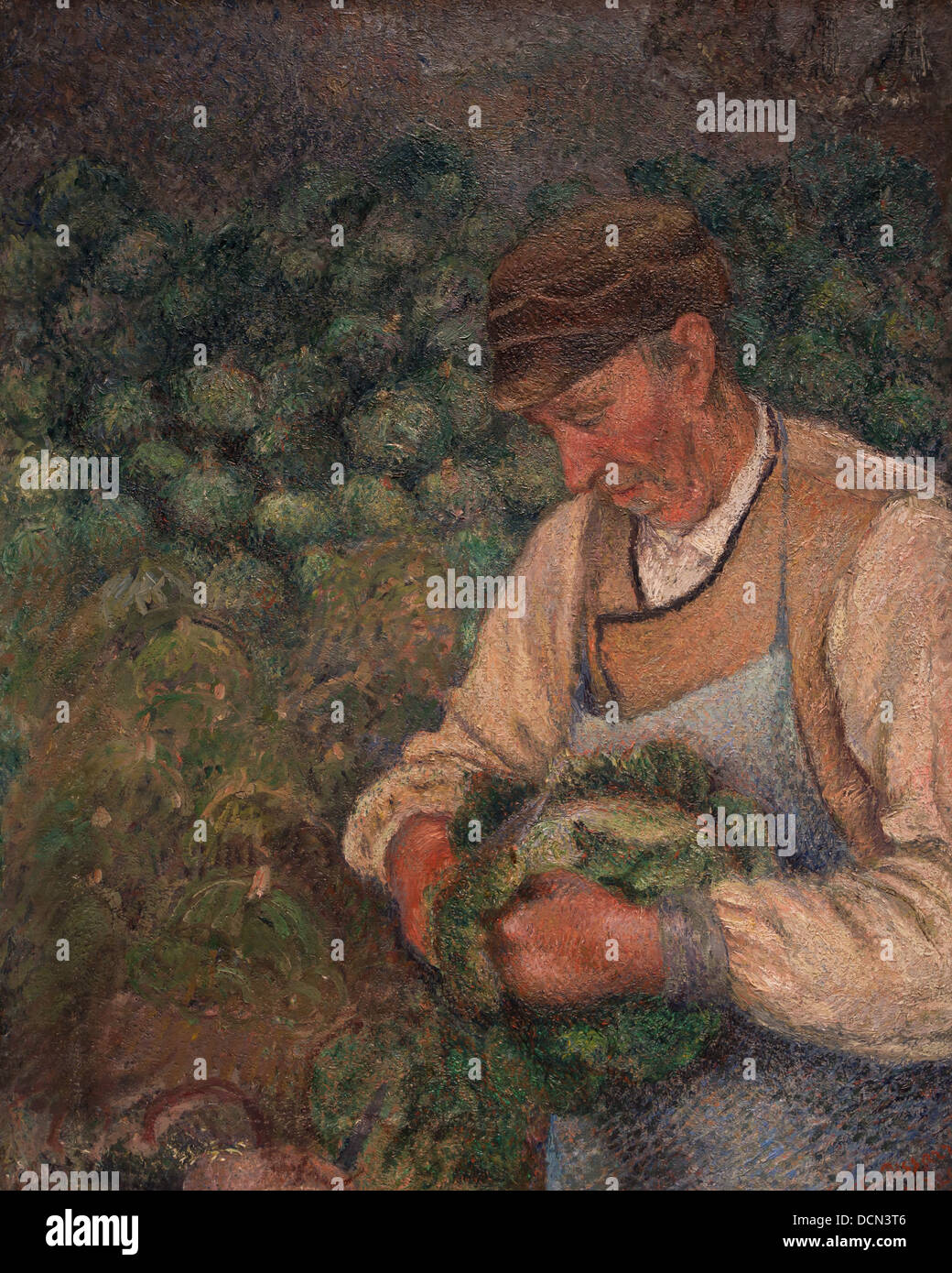 19ème siècle - l'Gardener-Old avec du chou, des paysans autour de 1890 - Camille Pissarro Philippe Sauvan-Magnet / Active Museum Banque D'Images