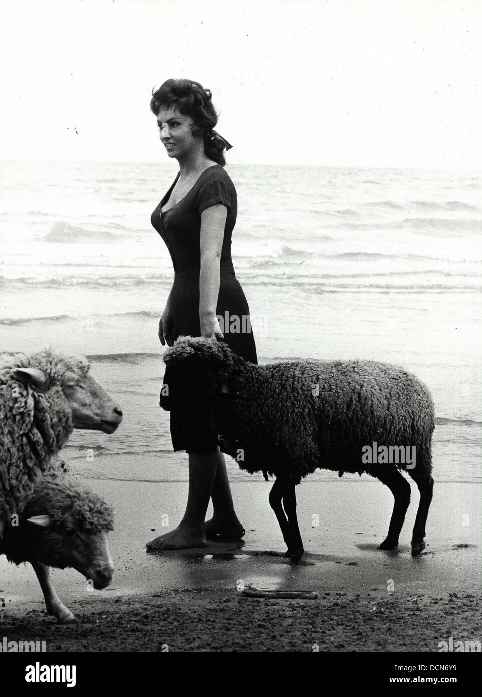 GINA LOLLOBRIGIDA.(Image Crédit : © P.I.P/Globe Photos/ZUMAPRESS.com) Banque D'Images