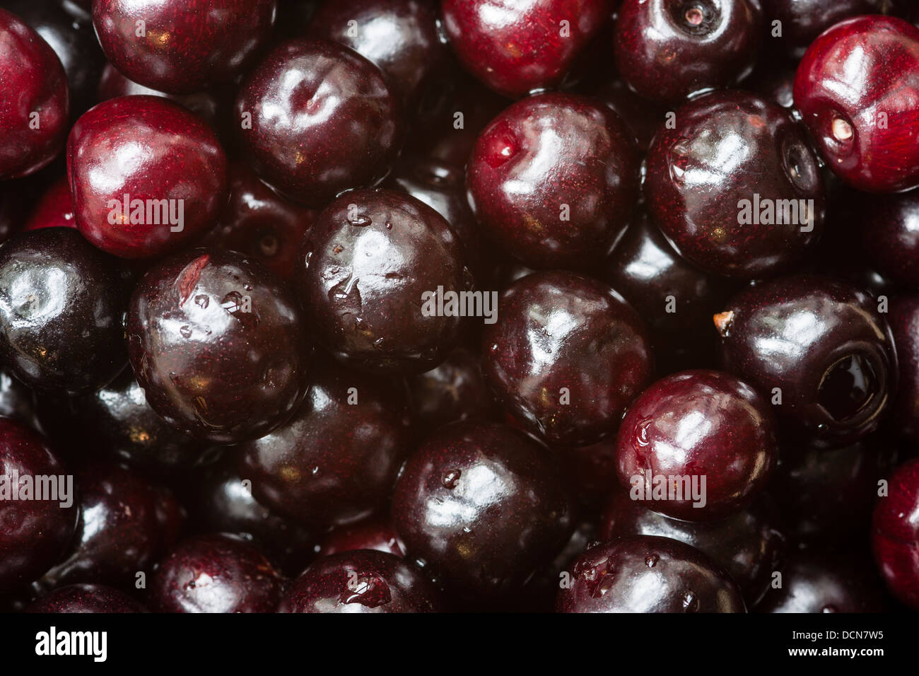 Cerises fraîches Banque D'Images