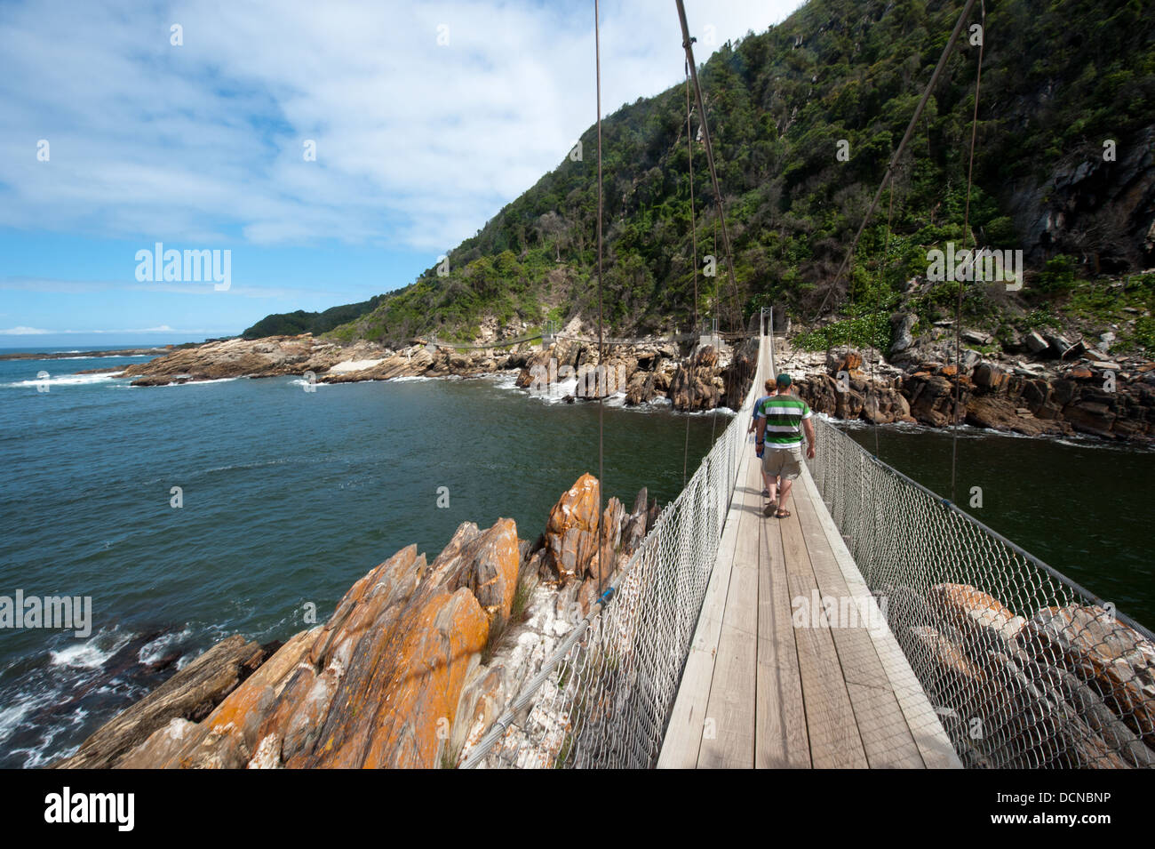 Le pont suspendu de la rivière de tempêtes, Garden Route, Tsitsikamma National Park, Afrique du Sud Banque D'Images