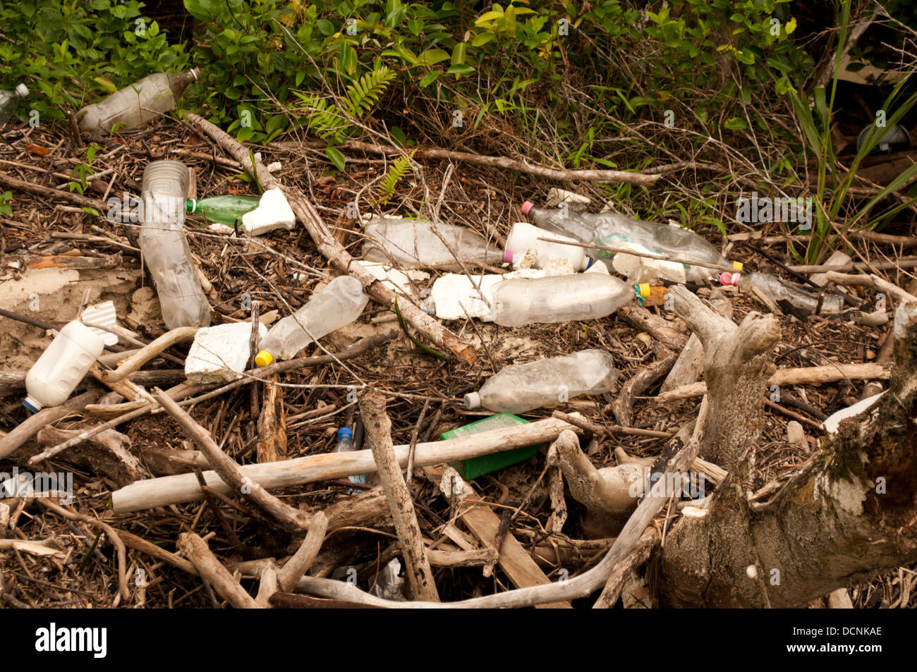 Ilha das Peças, litoral do Paraná. Les déchets plastiques à la plage réalisé à partir de la marée. Banque D'Images