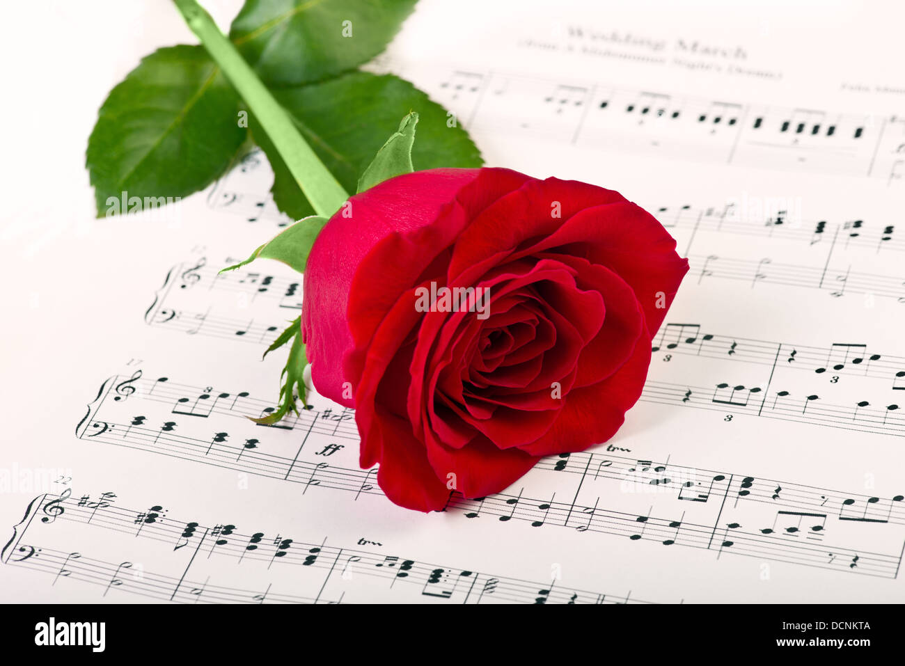Rose rouge plus de notes de musique Banque D'Images