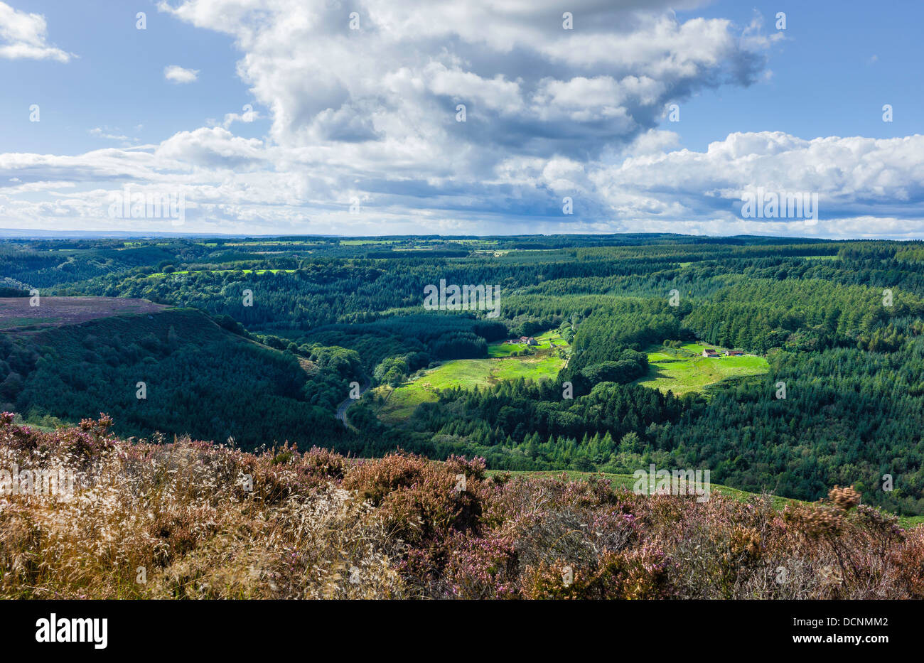 North York Moors National Park près des villages de Levisham et Goathland, North Yorkshire, UK. Banque D'Images