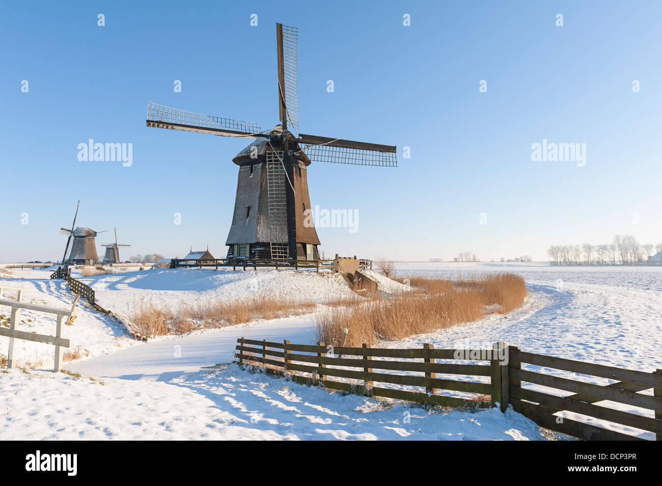 Dutch windmills in winter landscape Banque D'Images