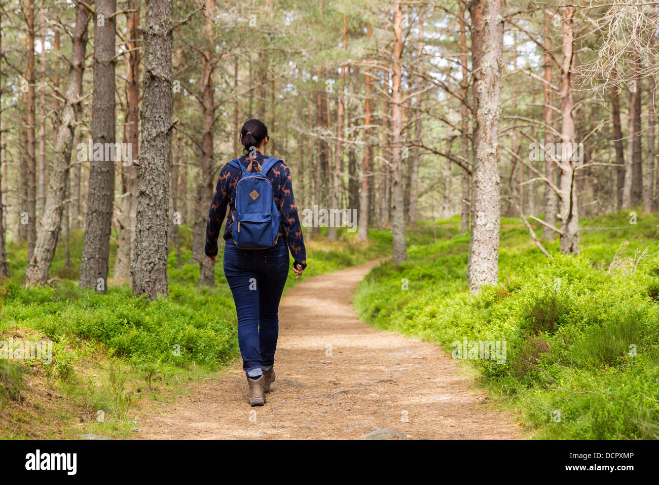 Femme marche dans la forêt Banque D'Images