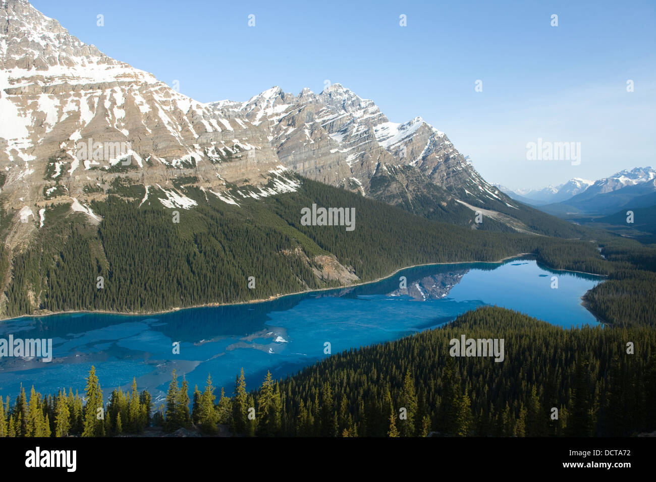 Le lac Peyto BANFF NATIONAL PARK ALBERTA CANADA Banque D'Images