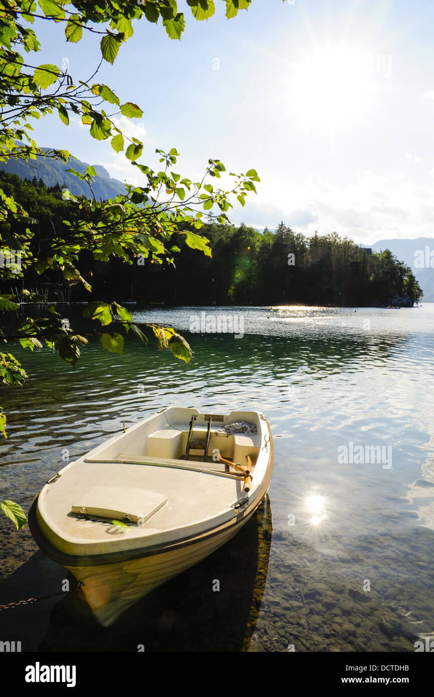 Parc national, la Slovénie, parc national Triglav, Bohinjsko jezera Banque D'Images