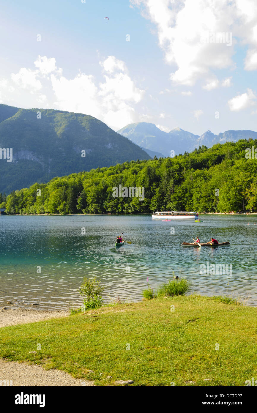 Parc national, la Slovénie, parc national Triglav, Bohinjsko jezera Banque D'Images