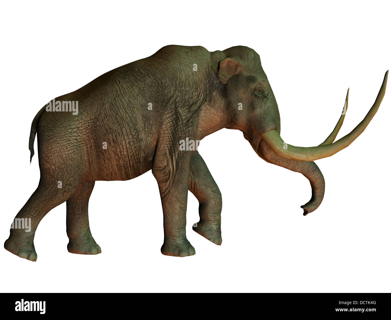 Sorte D éléphant De L ère Glaciaire Le mammouth colombien est une espèce d'éléphant qui habitaient ce qui est  maintenant l'Amérique dans le Pléistocène Photo Stock - Alamy