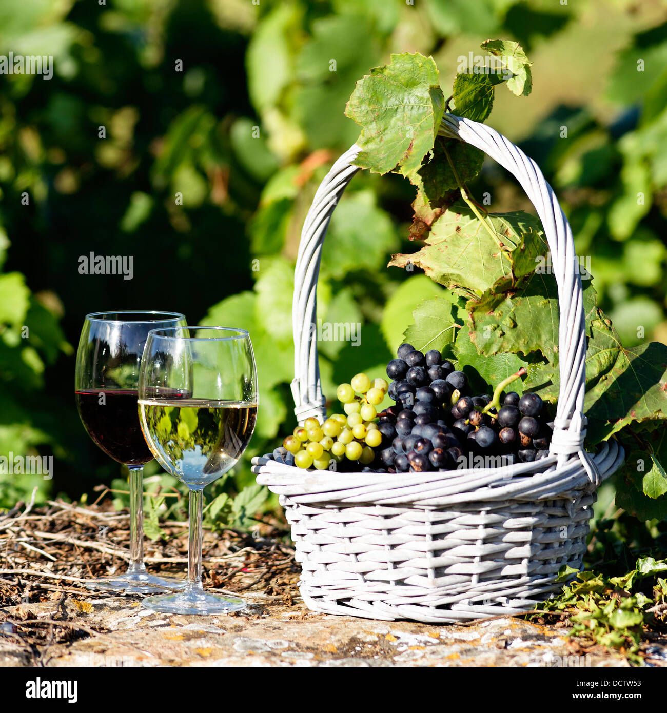 Verres de vins blanc et rouge Banque D'Images