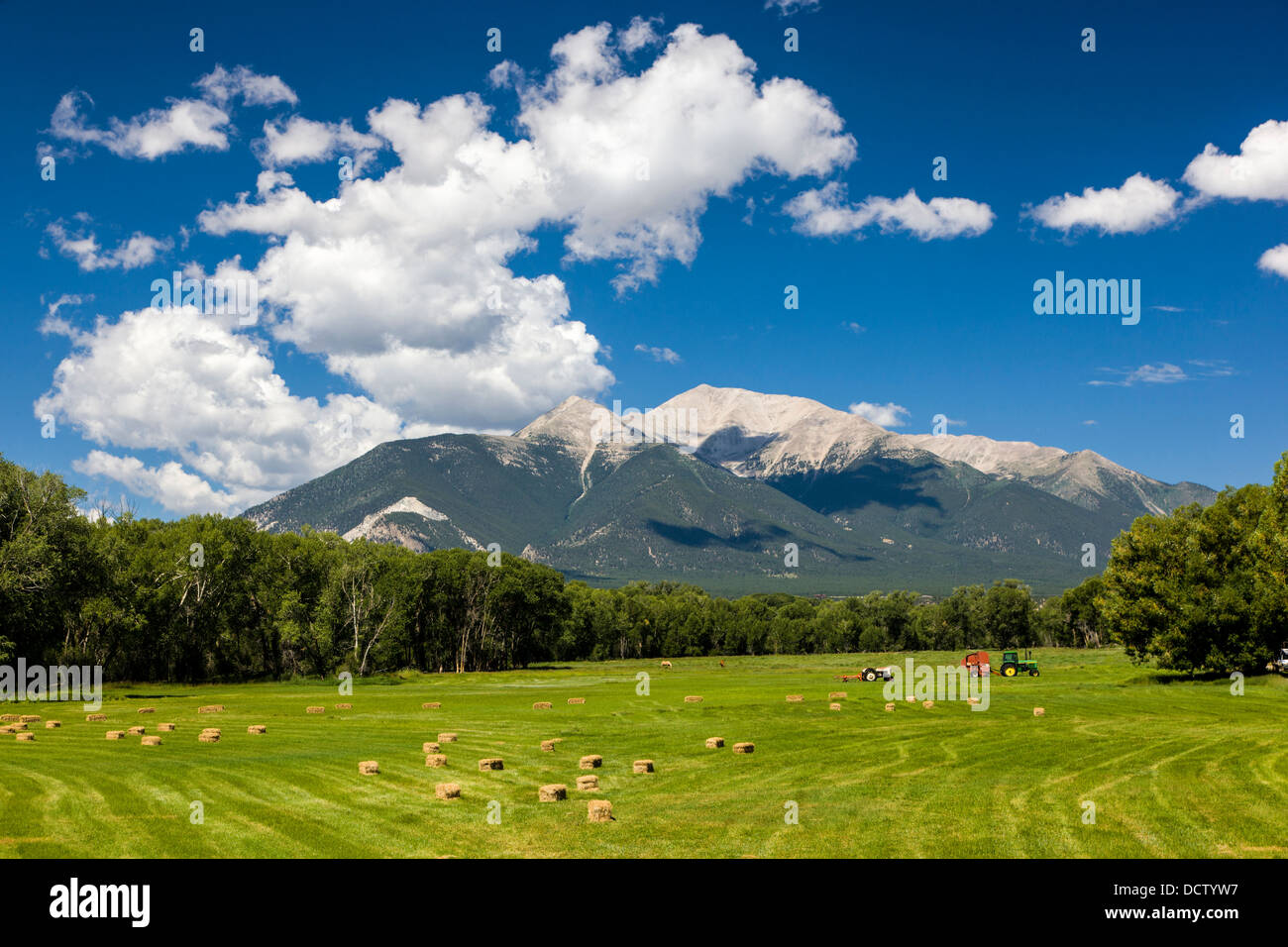 Les champs agricoles et Collegiate Peaks, montagnes Rocheuses, au-delà. Près de Buena Vista, Colorado, USA Banque D'Images