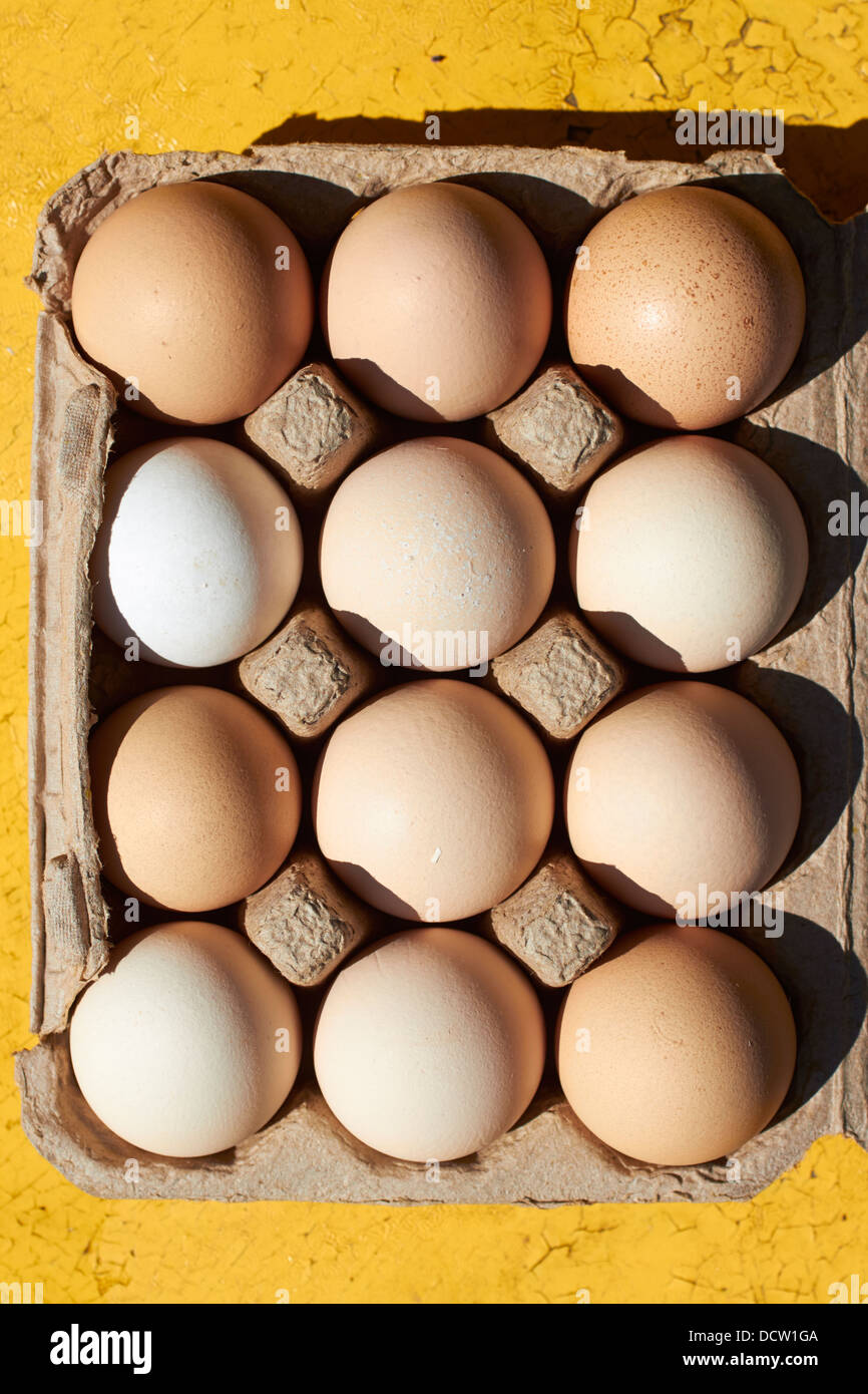 Des œufs frais à la Virginia farmer's market Banque D'Images