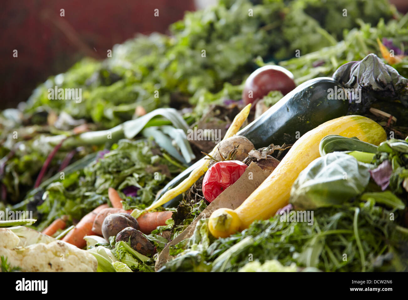 Légumes pourris mis de côté pour le compostage Banque D'Images