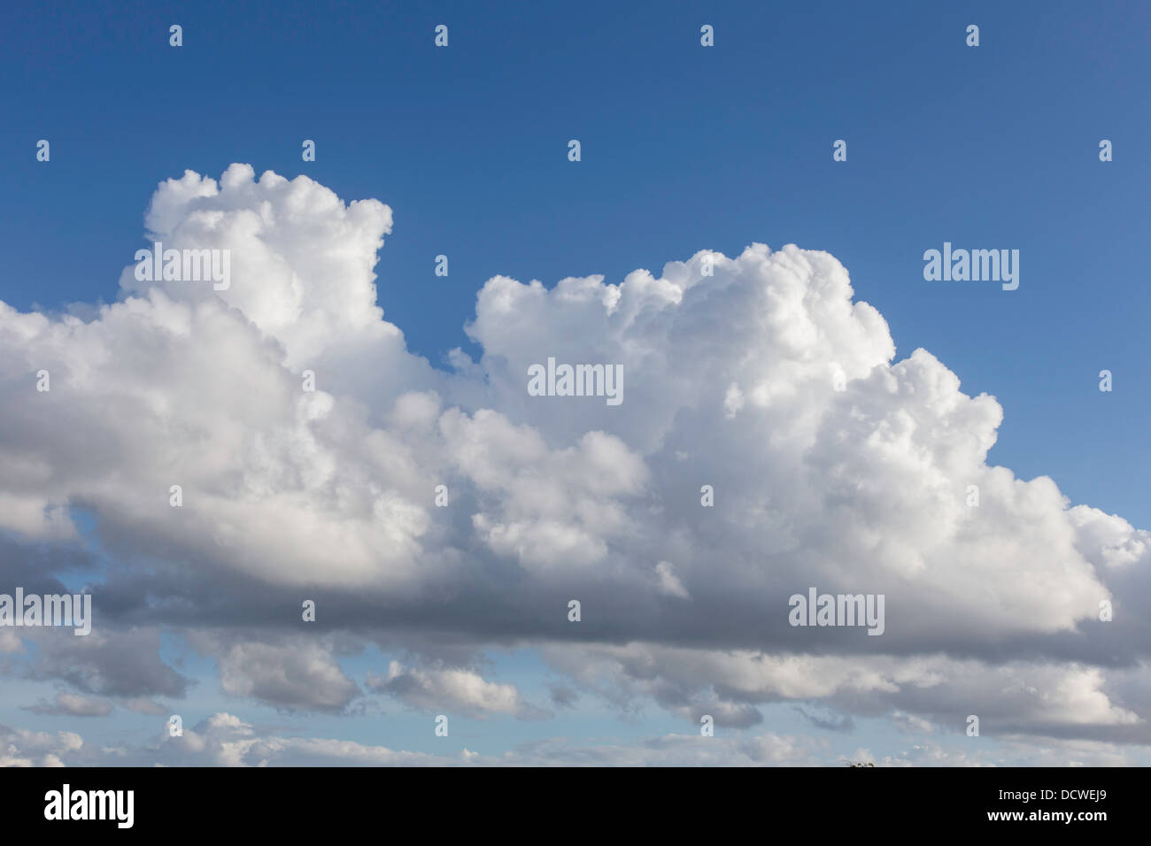 Les cumulus dans le ciel bleu, England, UK Banque D'Images