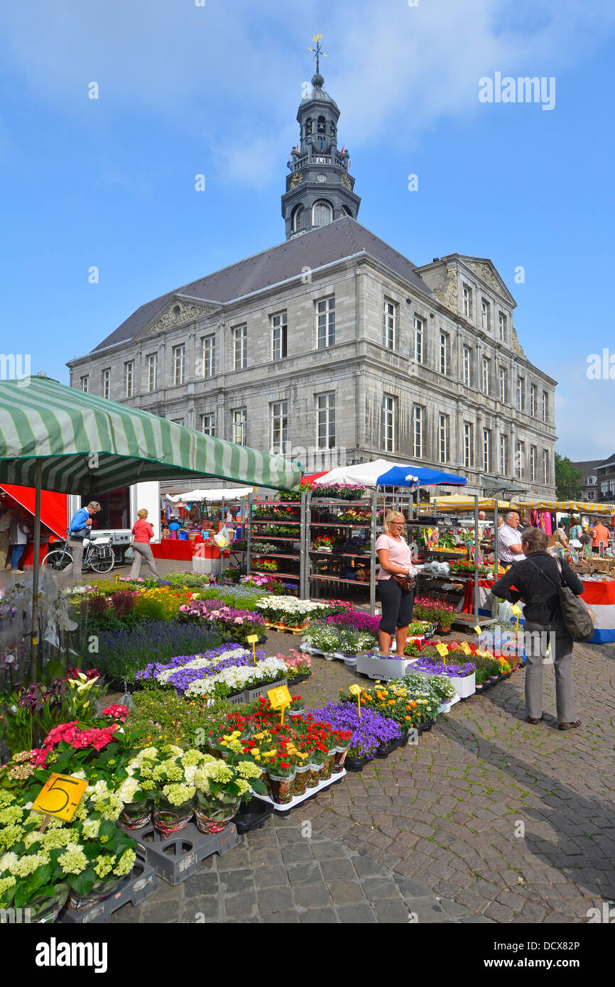 La place du marché de Maastricht est surplombée par les vendeurs de fleurs historiques de l'hôtel de ville au travail et les acheteurs regardant des fleurs à vendre Sunny Limburg pays-Bas Banque D'Images