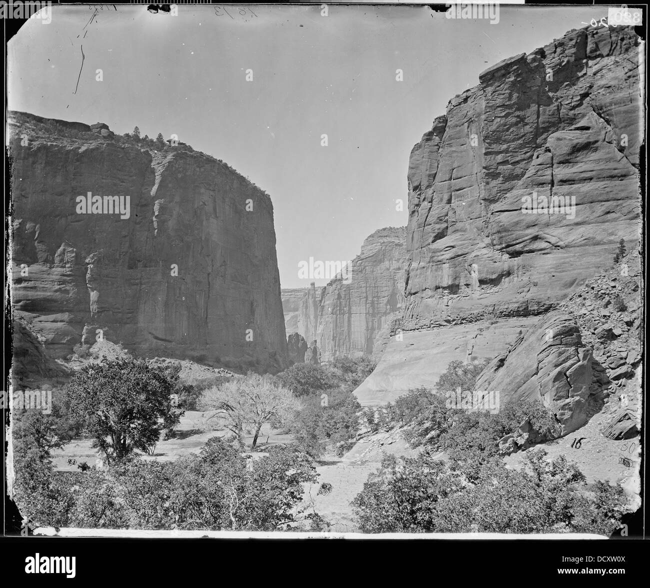 Tête DE CANYON DE CHELLE, LES MURS À 1200 pieds de hauteur, Arizona - - 524271 Banque D'Images