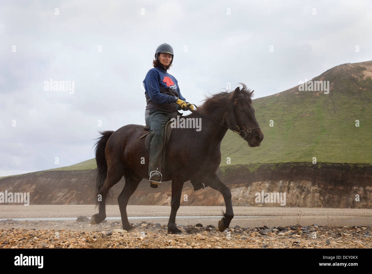 Icelandic Horse and Rider Landmannalaugar Islande Banque D'Images