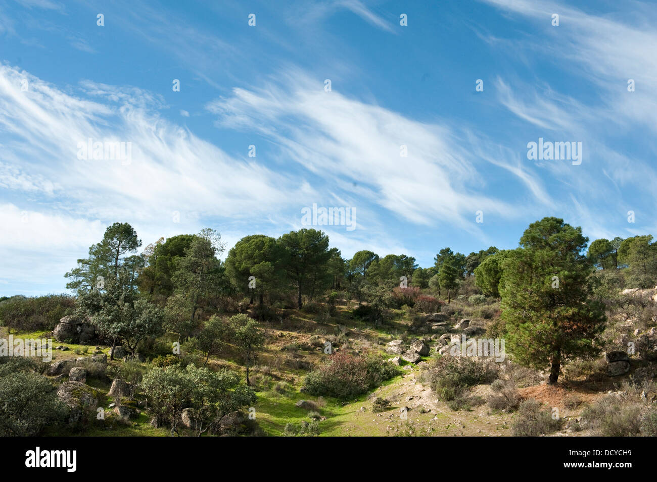 Paysage du Parc Naturel de la Sierra de Andujar Espagne Banque D'Images