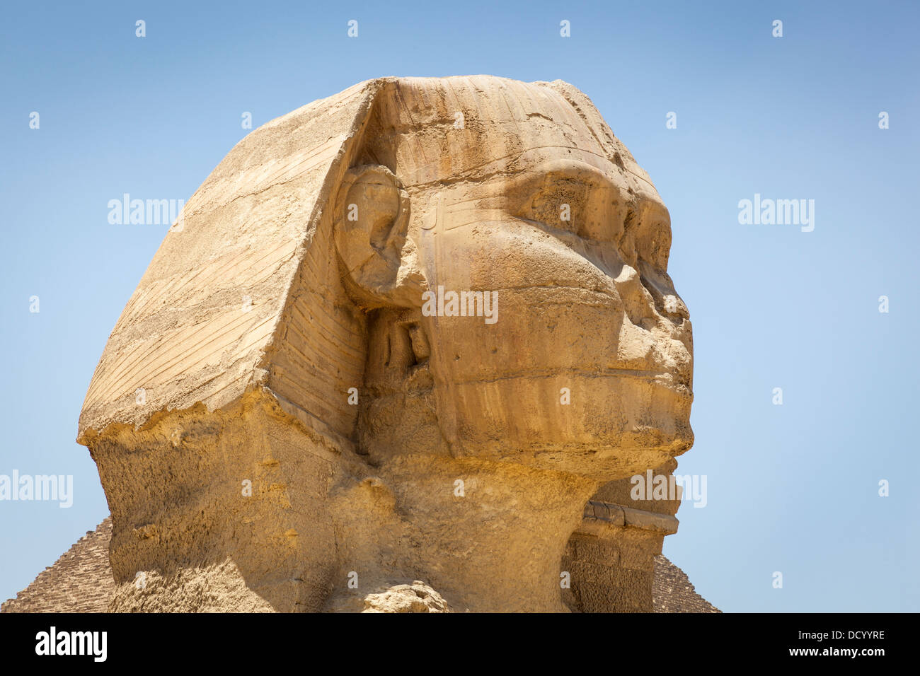 Close up de la tête des Grands Sphinx, Giza, Le Caire, Egypte Banque D'Images