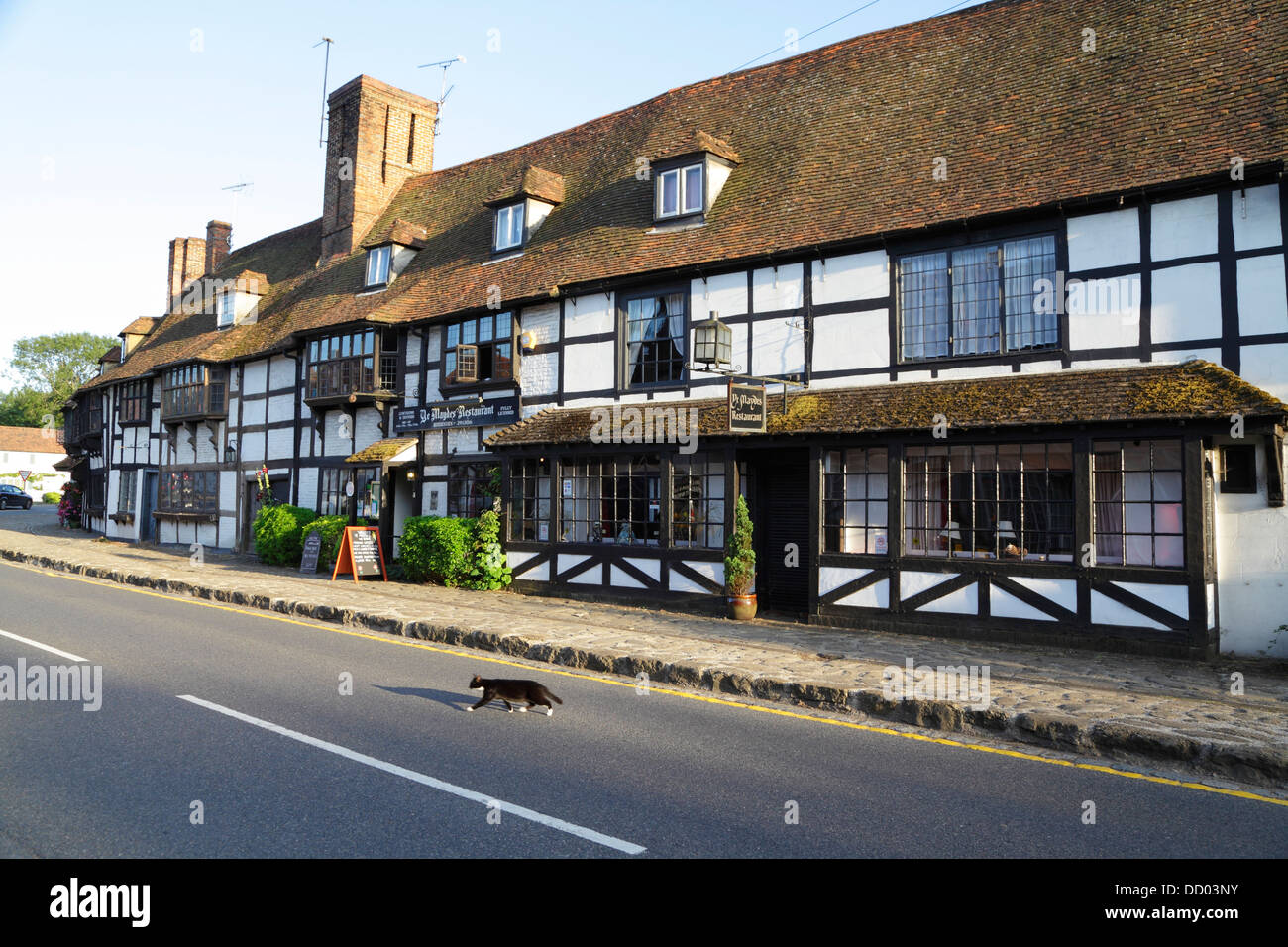 Chat noir et blanc crossing Road en face de l'époque médiévale, les maisons de tisserands Maydes Restaurant, Cranbrook, Kent, England, UK Banque D'Images