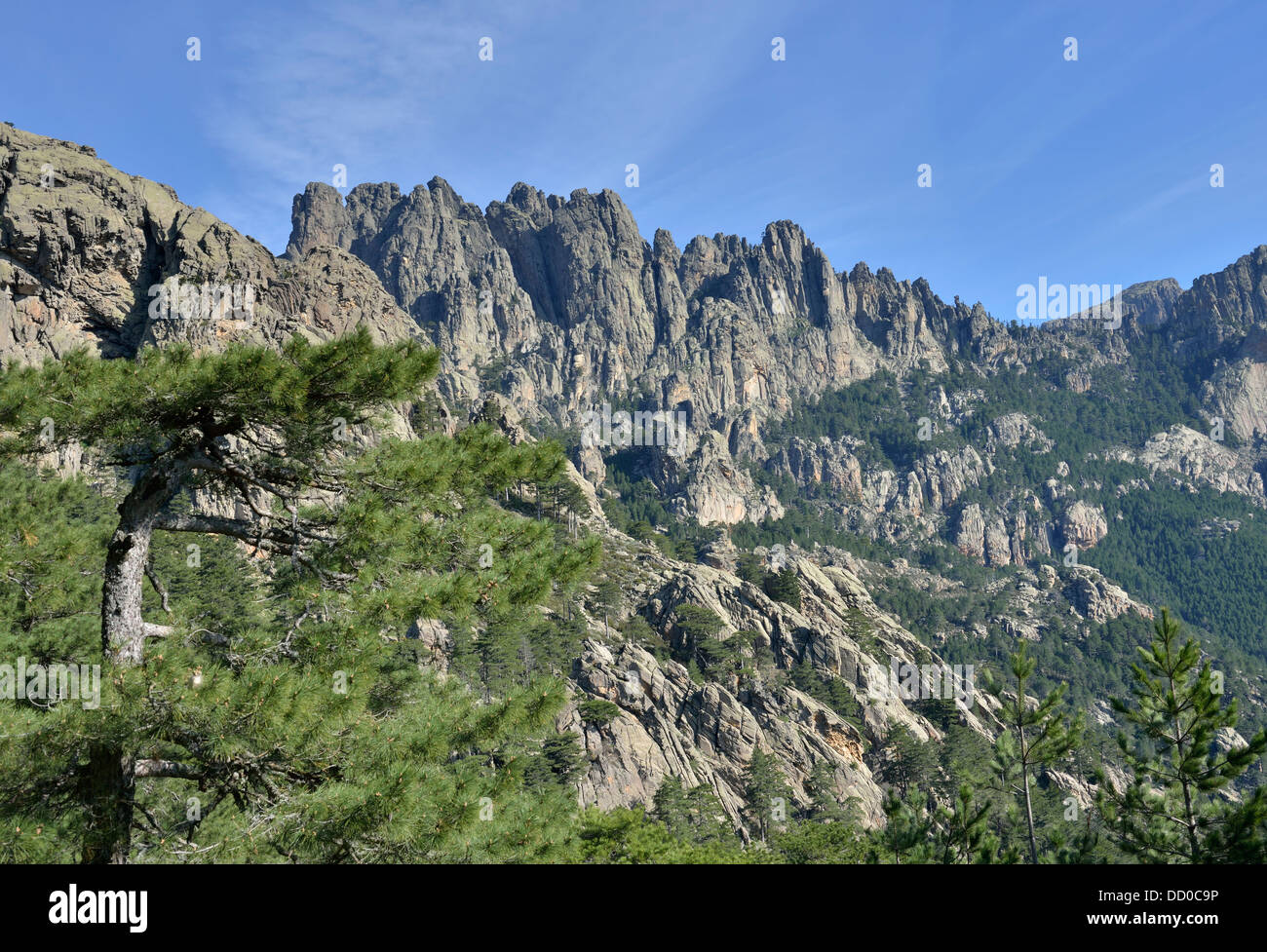 Paysage de montagne au Col de Bavella, Région de l'Alta Rocca, Corse, France Banque D'Images