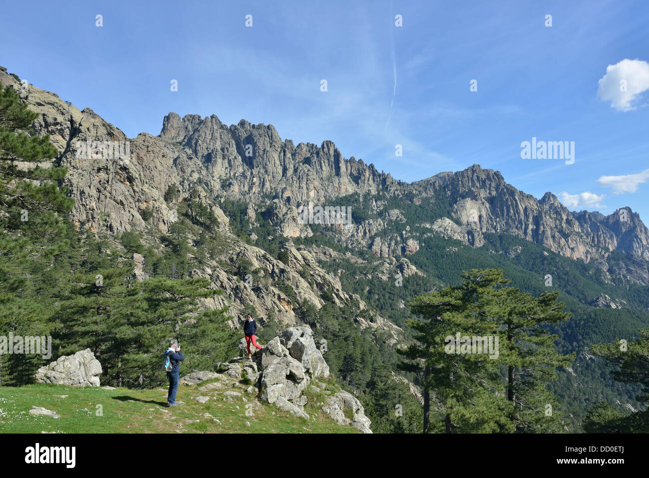 Paysage de montagne au Col de Bavella, Région de l'Alta Rocca, Corse, France Banque D'Images